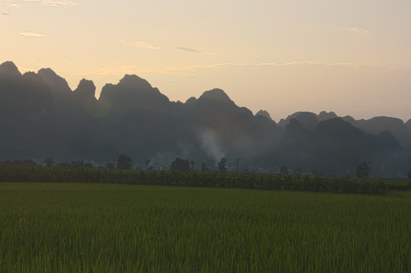 6800X533.jpg