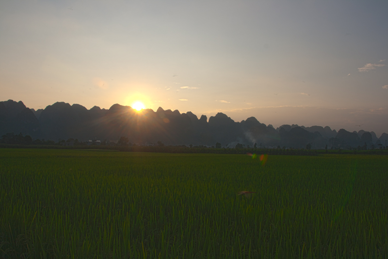 7800X533.jpg