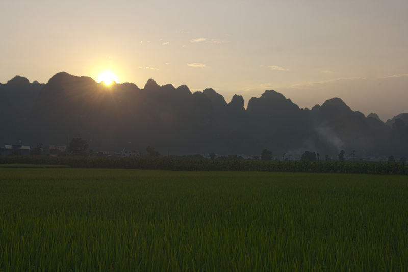 8800X533.jpg