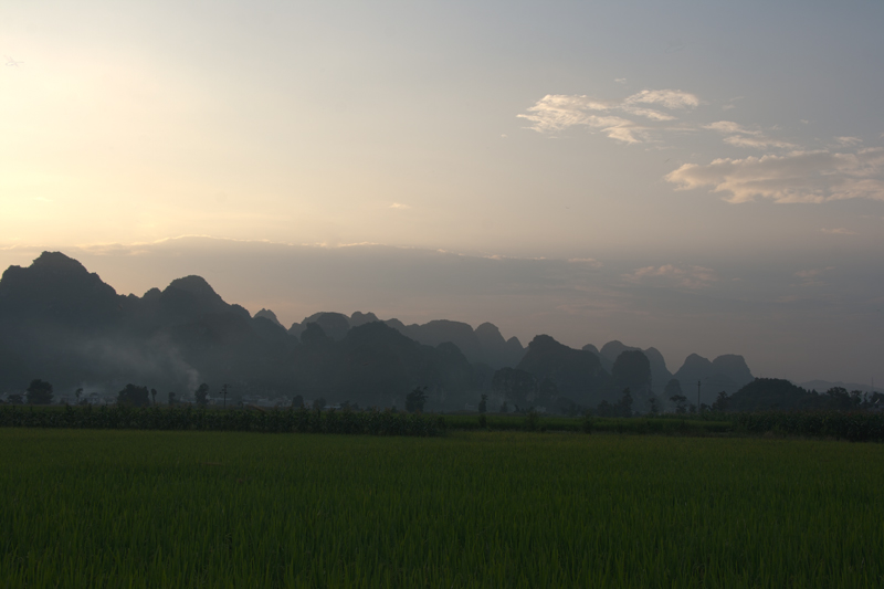11800X533.jpg