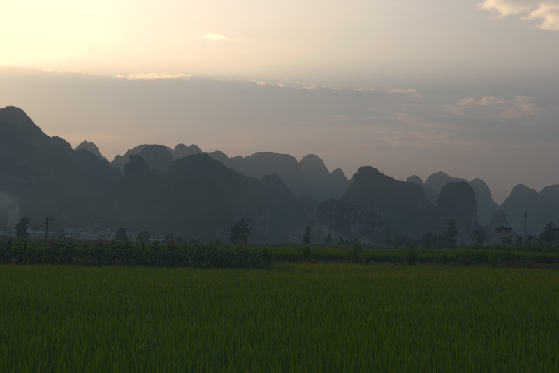 12800X533.jpg