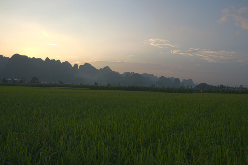 15800X533.jpg