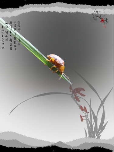 2012.08.23. 036.jpg