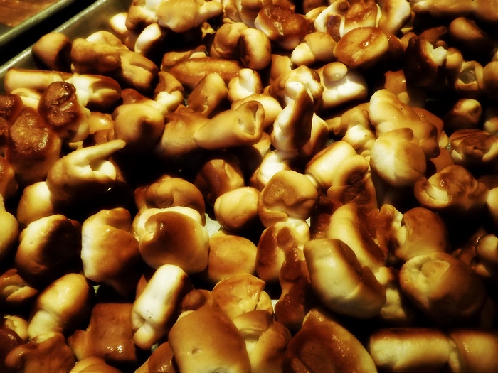 DSCF1262.jpg