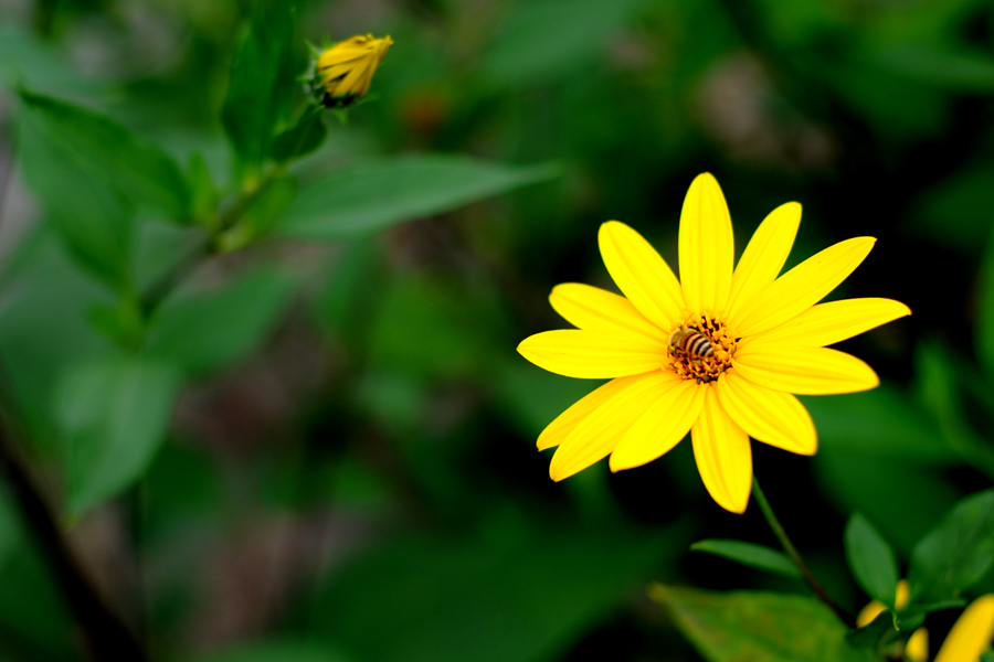 DSC_0669.JPG