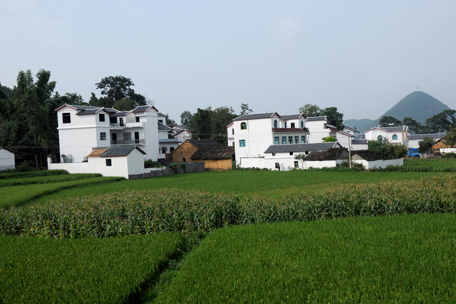 DSC_0623.JPG