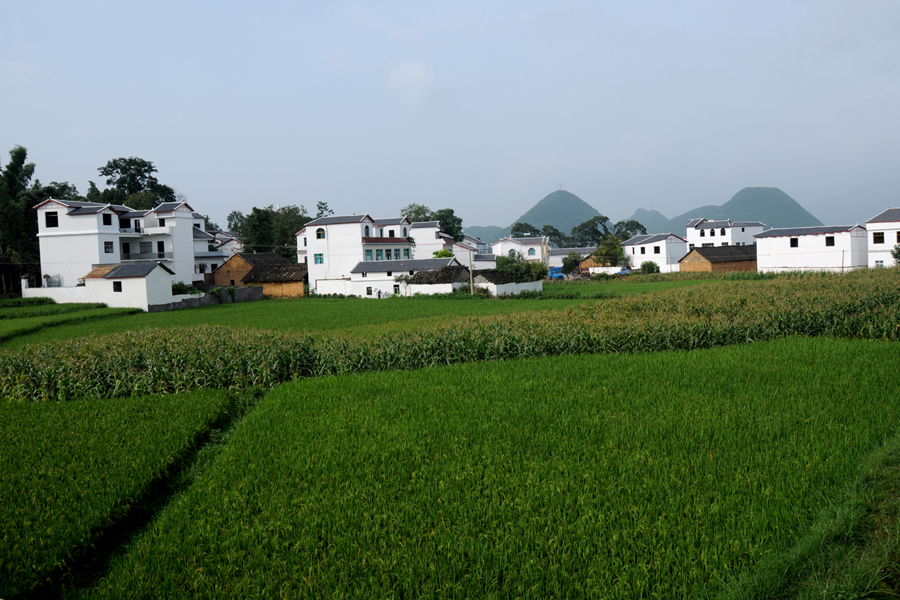 DSC_0626.JPG
