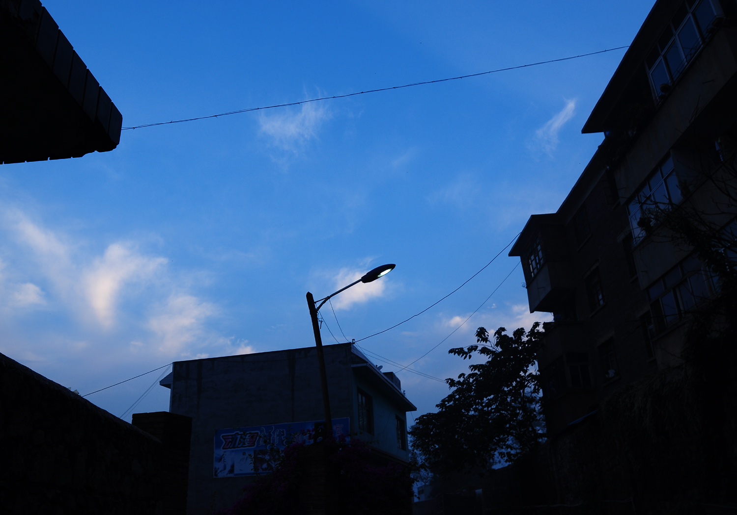 DSC_0586.JPG