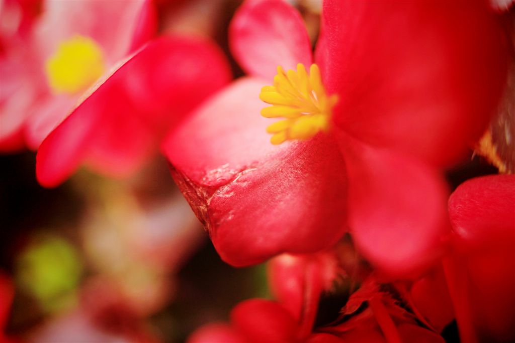 DPP_006142.JPG