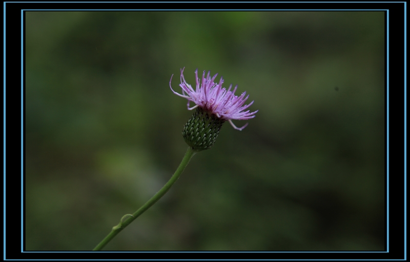 2012.10.02-05Լ 260.jpg