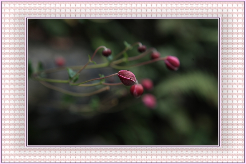 2012.10.02-05Լ 263.jpg