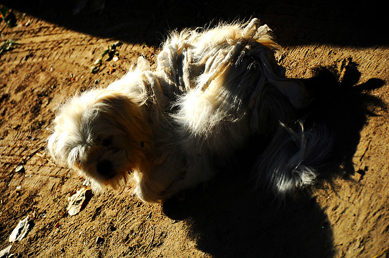 DSC_0198 _.jpg