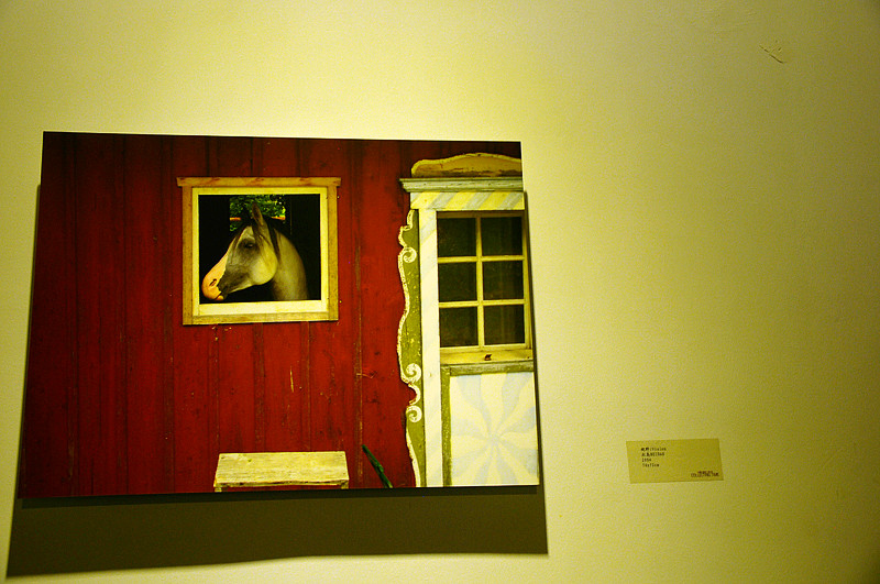 DSC_0124 _.jpg