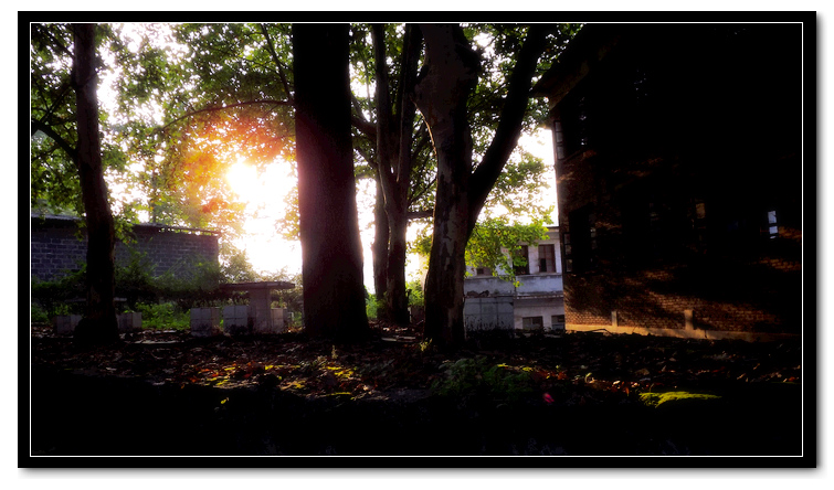 DSCF3197.jpg