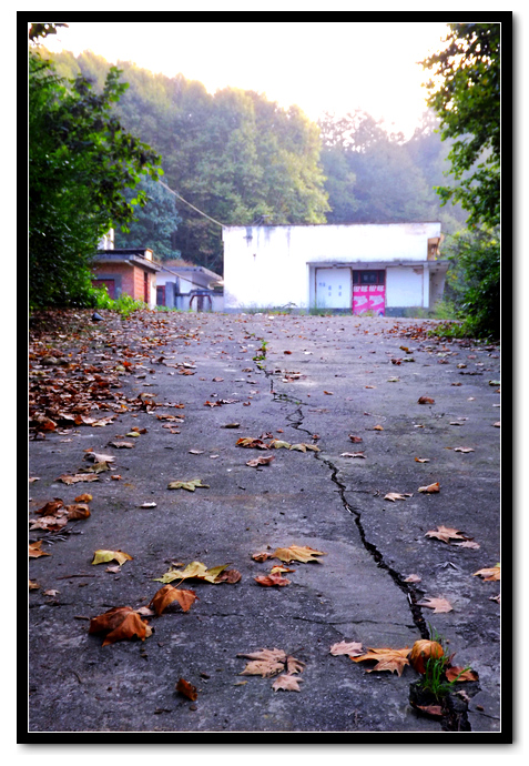 DSCF3200.jpg