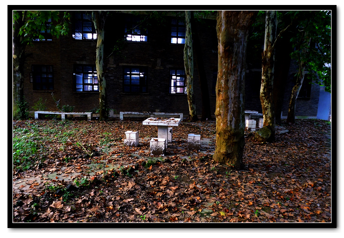 DSCF3253.jpg