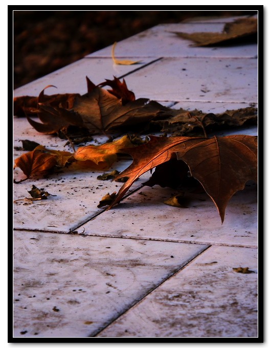 DSCF3261.jpg
