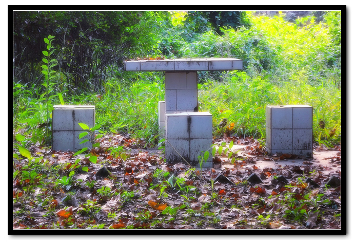 DSCF3262.jpg