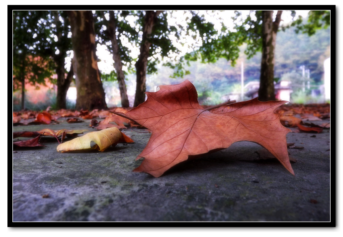 DSCF3270.jpg