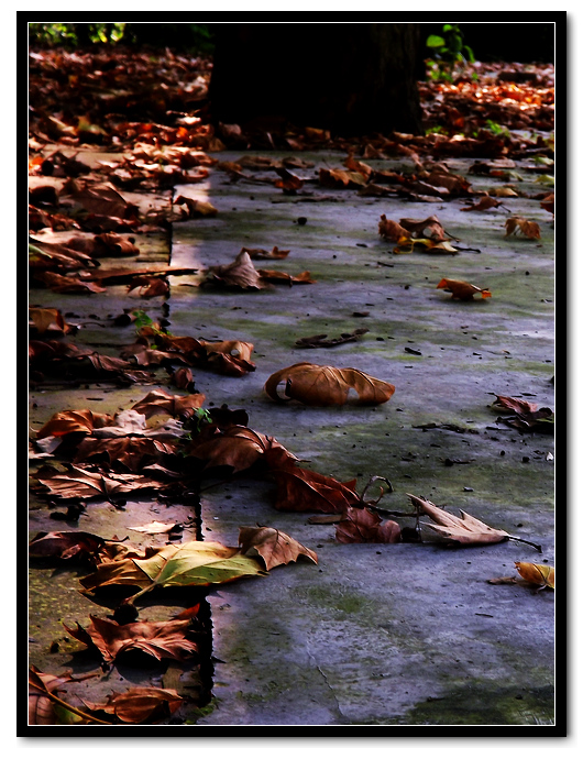 DSCF3617.jpg