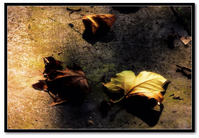 DSCF3624.jpg