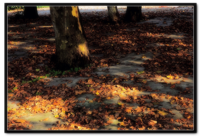 DSCF3629.jpg