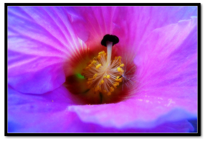 DSCF3653.jpg