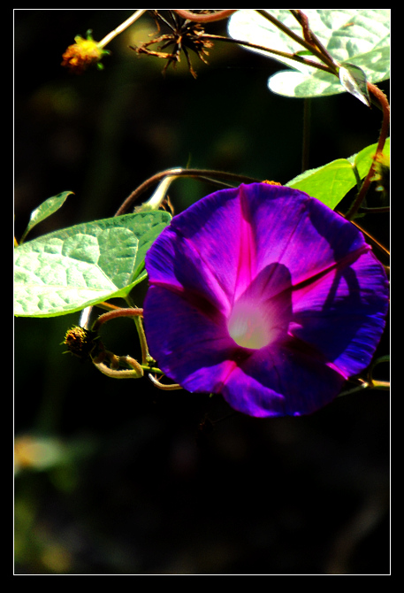 DSCF3716.jpg