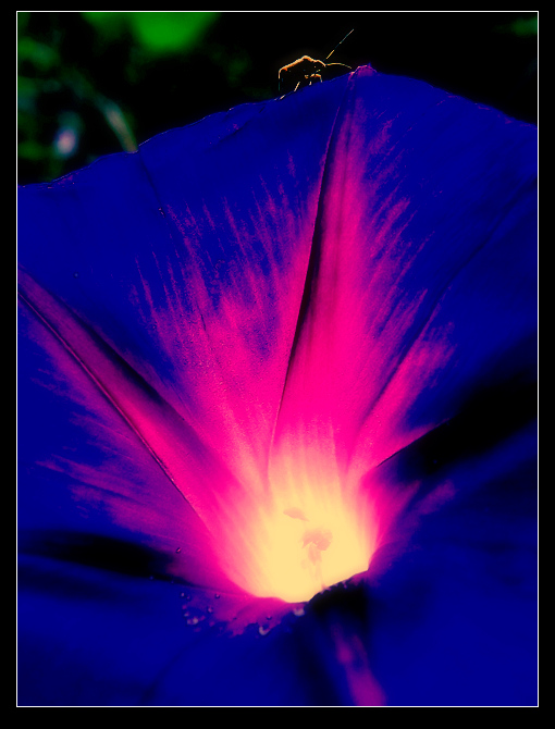 DSCF3718.jpg