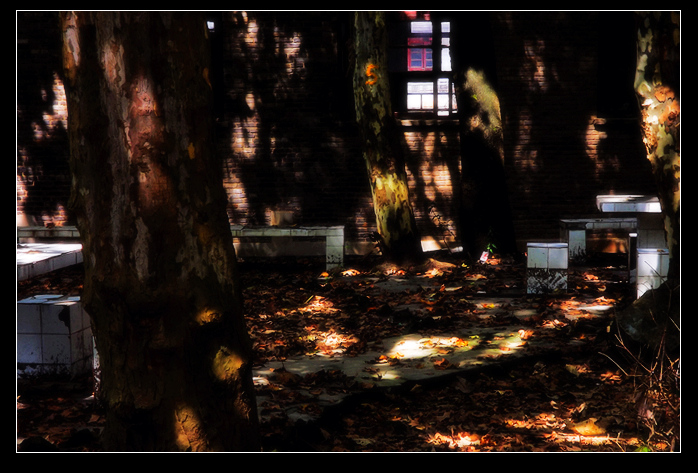 DSCF3740.jpg