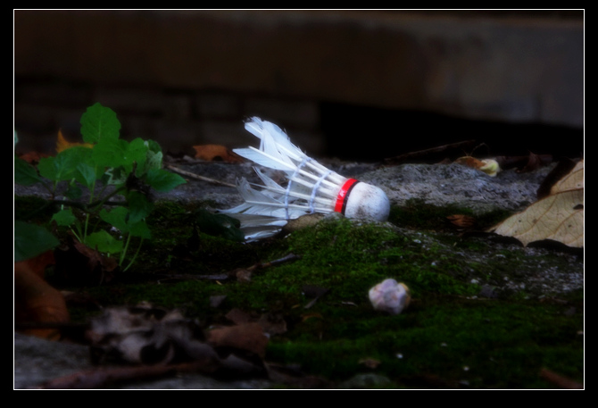 DSCF3743.jpg
