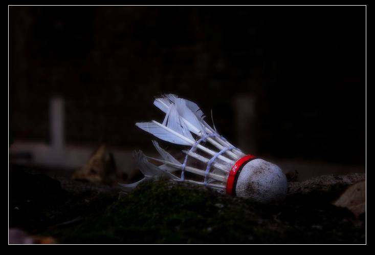 DSCF3744.jpg