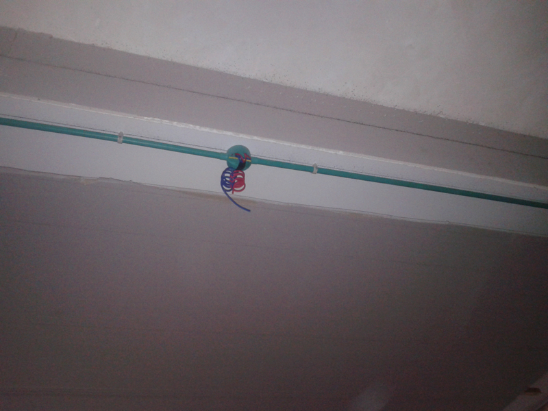 20120921_091845.jpg
