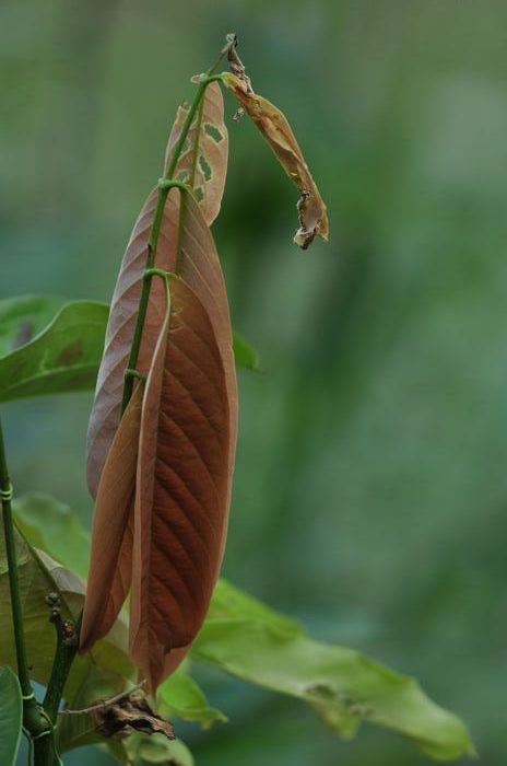 DSC_2686.jpg