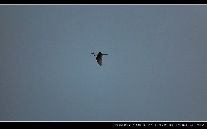 DSCF6063.jpg