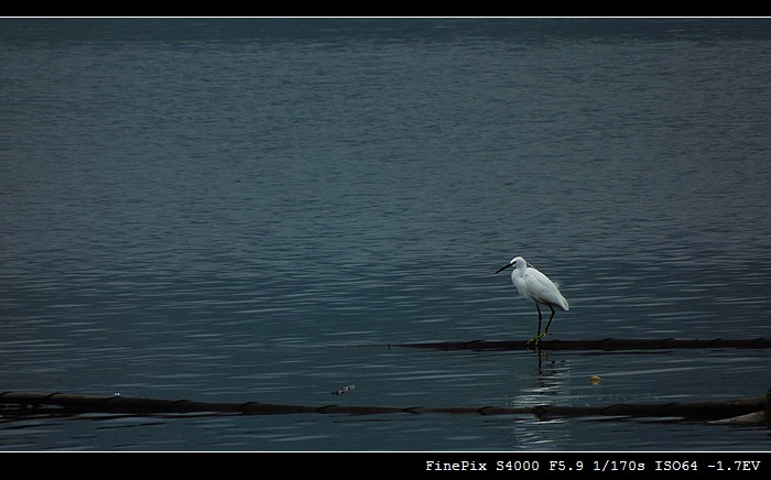 DSCF6125.jpg