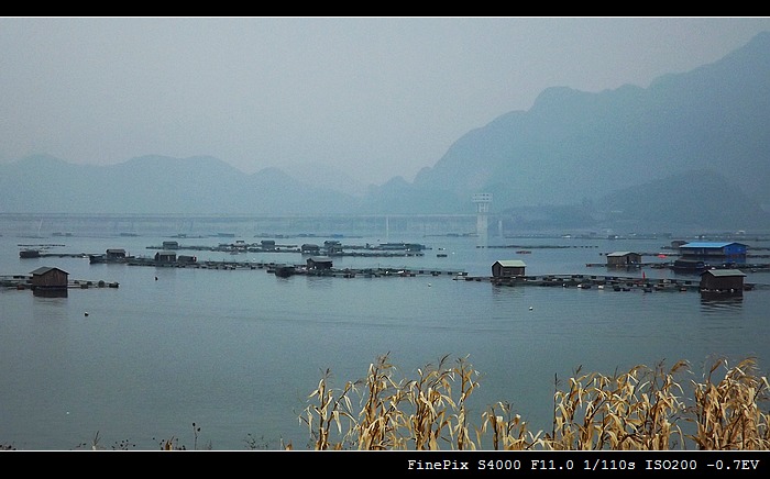 DSCF6154.jpg