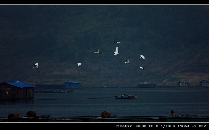 DSCF6128.jpg