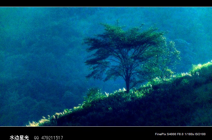 DSCF7503.jpg