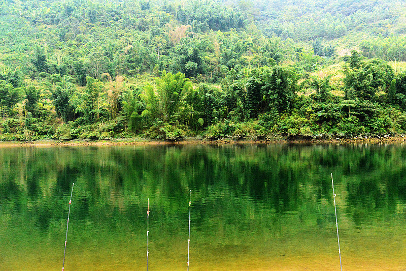 DSC_5016_.jpg