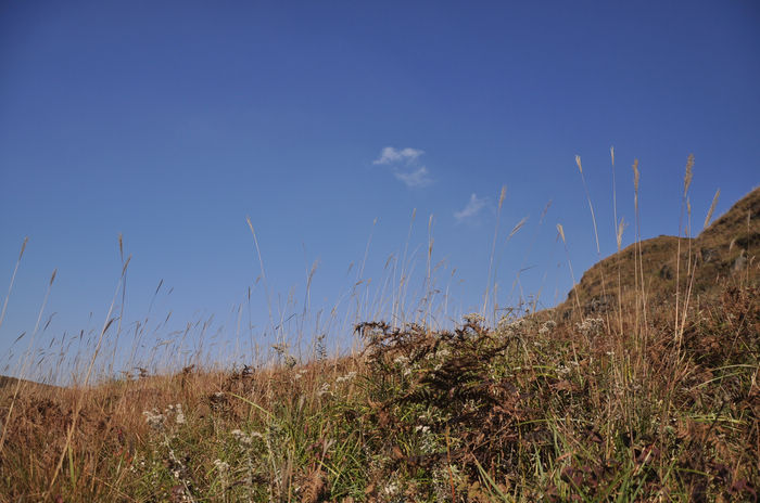 DSC_3381.jpg