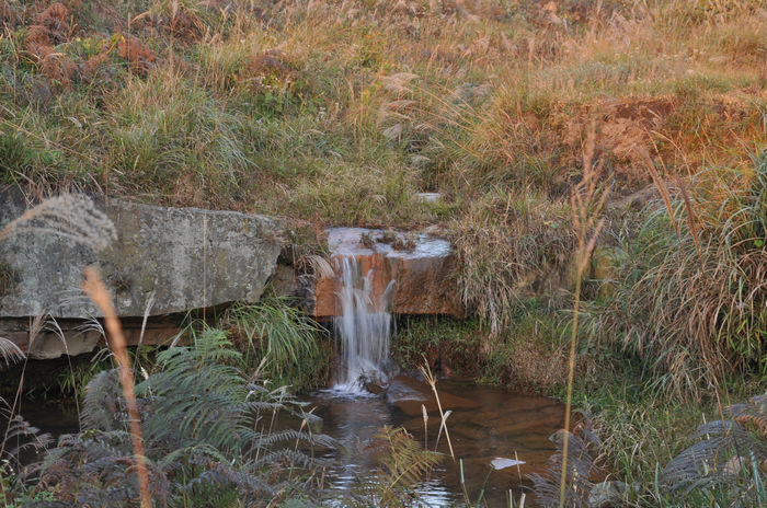 DSC_3537.jpg
