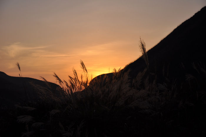 DSC_3567.jpg