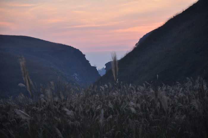 DSC_3573.jpg