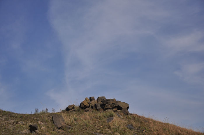 DSC_3626.jpg