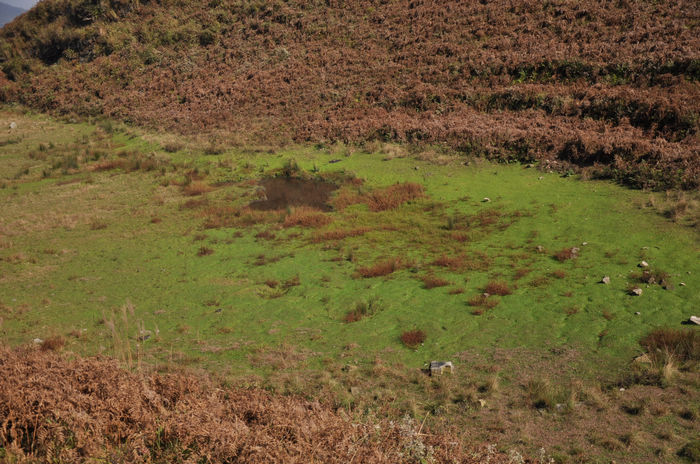 DSC_3361.jpg