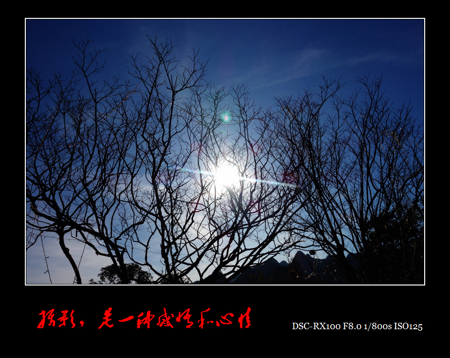 04.jpg
