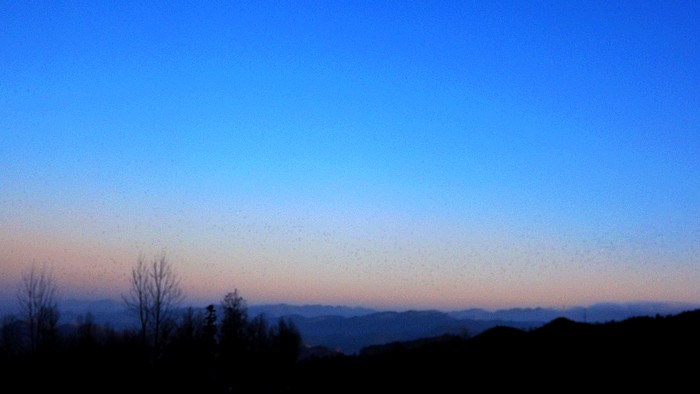 DSCF8817.jpg