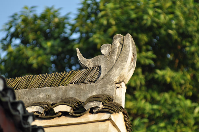 DSC_3047.jpg