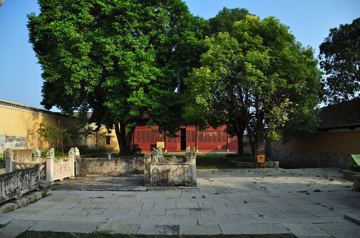 DSC_1543.jpg